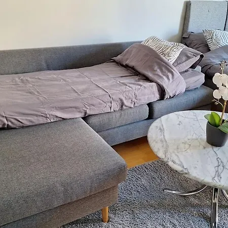 Tammela * טמפרה